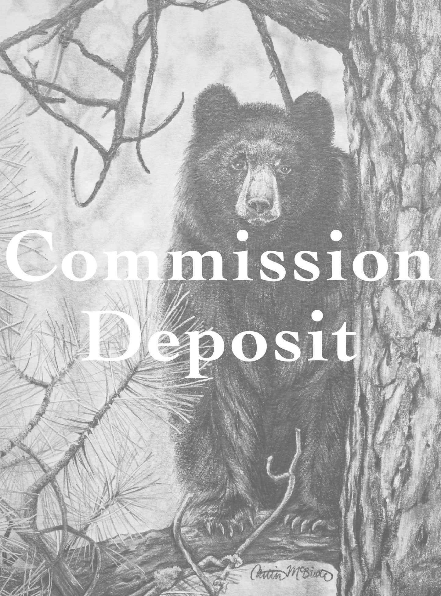 Commission Deposit *Read Description*