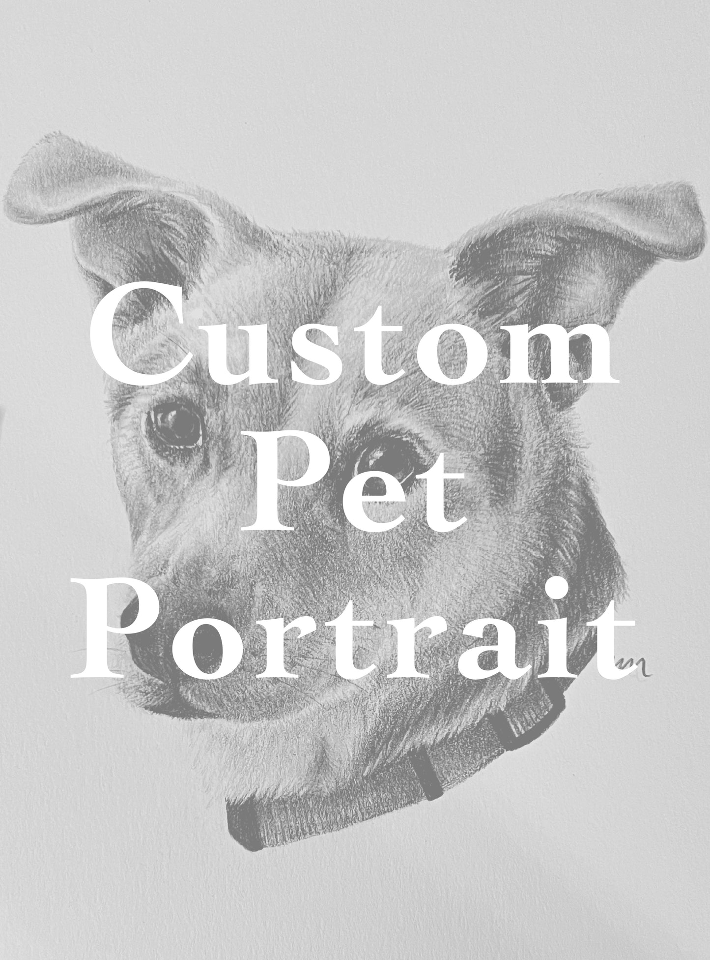 Custom Pet Portrait